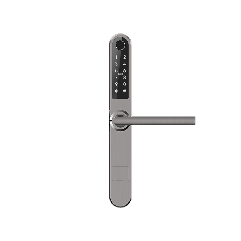 Yala smart exterior/interior pentru usi termopan PVC, deschidere cu amprenta, cod, card, telefon, Wi-Fi, Bluetooth, gri